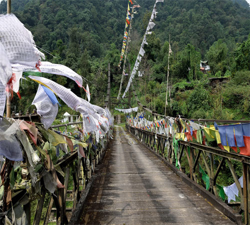 All In One Darjeeling Pelling Gangtok lachung lachen 9 Night 10 Days