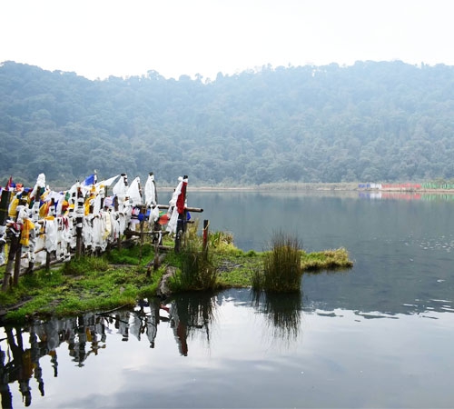 EXOTIC DARJEELING & KALIMPONG