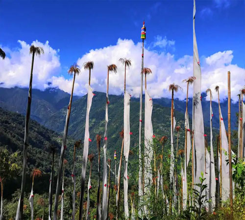 Best of Sikkim Tour  07 Nights 08 Days